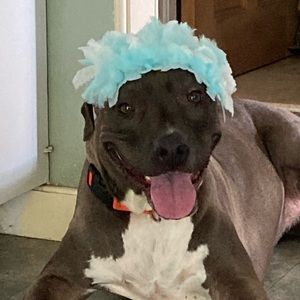 Meet your Posher, Cynthia